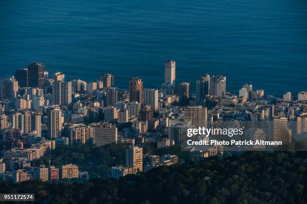 cityscape at dusk seen from the heights of the tropical forest in the national park of "floresta da tijuca" at sundown, rio de janeiro - floresta tropical stock pictures, royalty-free photos & images