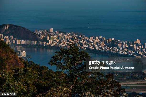 cityscape at dusk seen from the heights of the tropical forest in the national park of "floresta da tijuca" at sundown, rio de janeiro - floresta tropical stock pictures, royalty-free photos & images