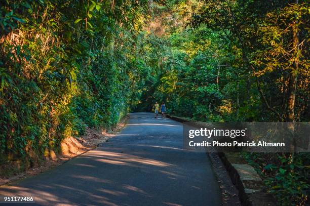 couple walking on the road in the cooler temperature of the tropical forest in the national park of "floresta da tijuca" at sundown, rio de janeiro - floresta tropical stock pictures, royalty-free photos & images