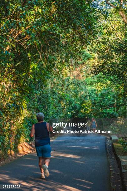 man running and couple walking on the road in the cooler temperature of tropical forest in the national park of "floresta da tijuca" at sundown, rio de janeiro - floresta tropical stock pictures, royalty-free photos & images