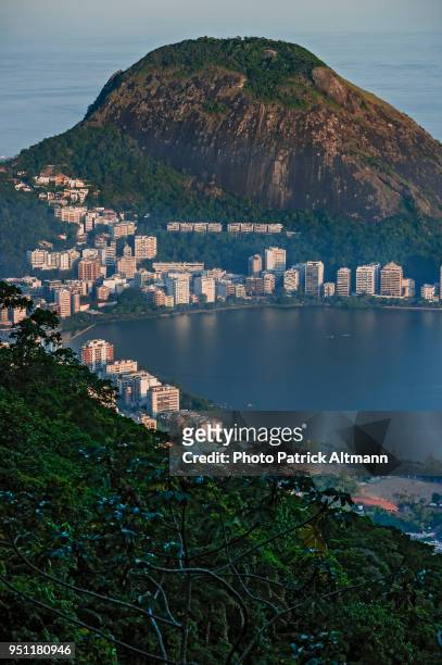 cityscape at dusk seen from the heights of the tropical forest in the national park of "floresta da tijuca" at sundown, rio de janeiro - floresta tropical stock pictures, royalty-free photos & images