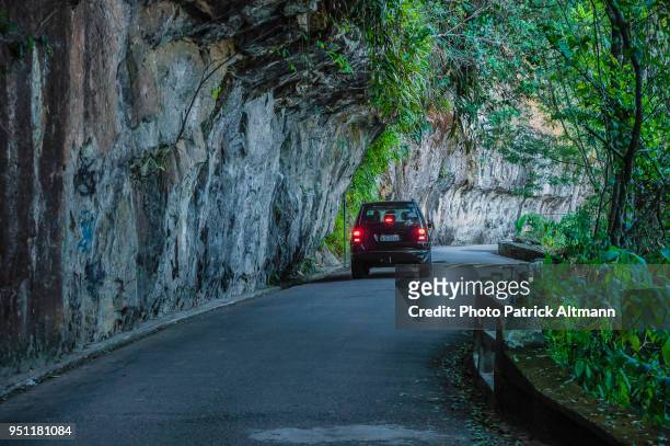 people taking a ride by car on the road in the cooler temperature of tropical forest in the national park of "floresta da tijuca" at sundown, rio de janeiro - floresta tropical stock pictures, royalty-free photos & images