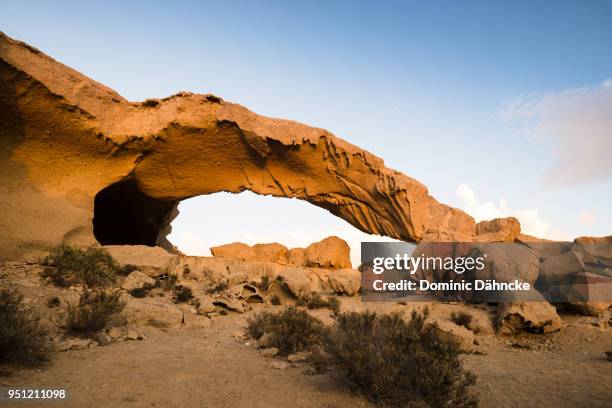 volcanic coast of "tajao" town, in south of tenerife island (canary islands) - dähncke stock pictures, royalty-free photos & images