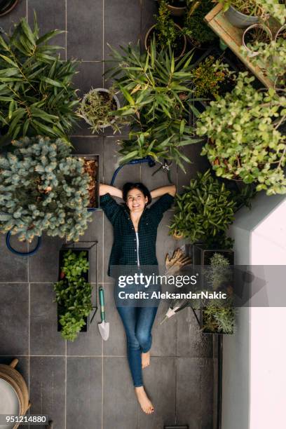 my lovely rooftop garden - scapula stock pictures, royalty-free photos & images
