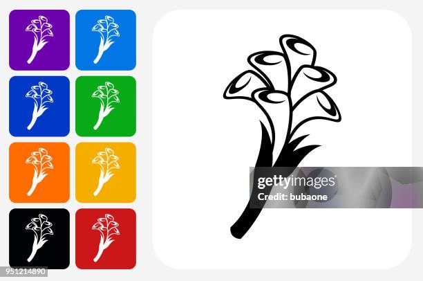 illustrazioni stock, clip art, cartoni animati e icone di tendenza di calla lily flowers icona pulsante quadrato set - calla lily