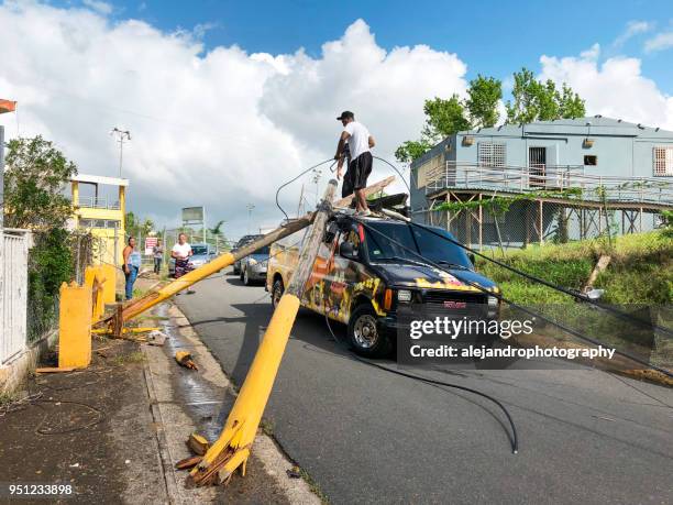 mensen die proberen te verwijderen vermogen polen af van - puerto rico hurricane stockfoto's en -beelden