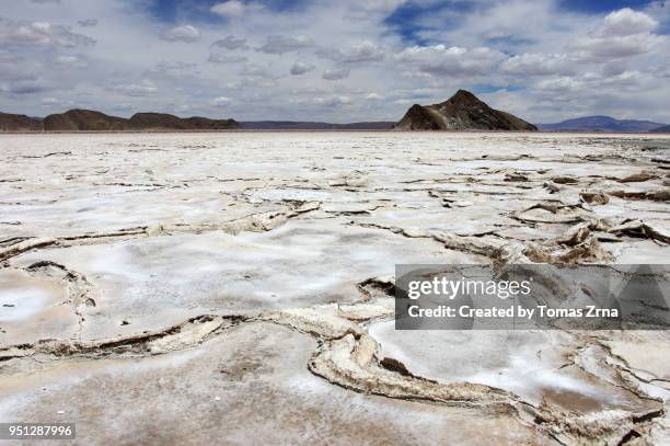 salt flats of salar del hombre muerto - muerto stock pictures, royalty-free photos & images