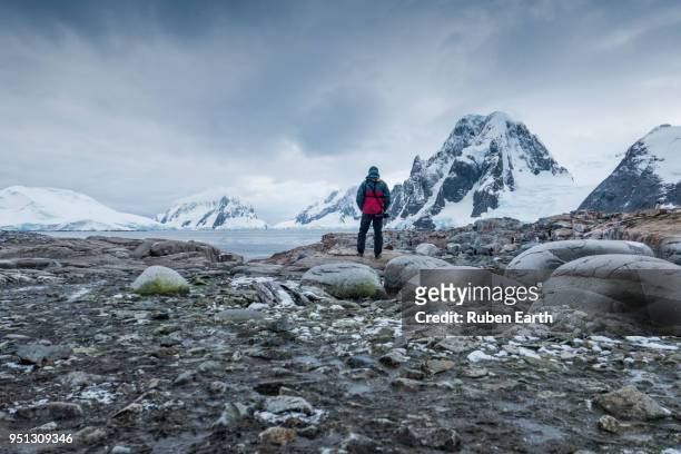 tourist looking at the landscape in petermann island in the antarctica peninsula - petermann island stock pictures, royalty-free photos & images