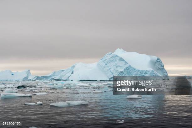 iceberg in cierva cove in antarctica - cierva stockfoto's en -beelden