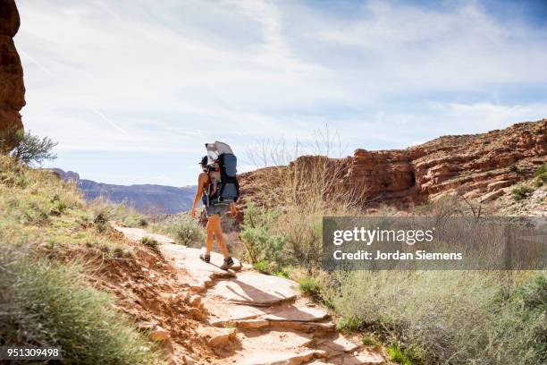 a young mom hiking with a 4 month old. - moab utah stockfoto's en -beelden