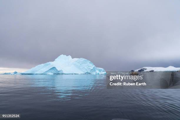 iceberg in cierva cove in antarctica - cierva stockfoto's en -beelden