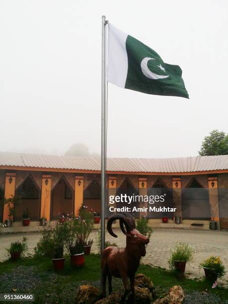 pakistan flag waving - markhor 個照片及圖片檔