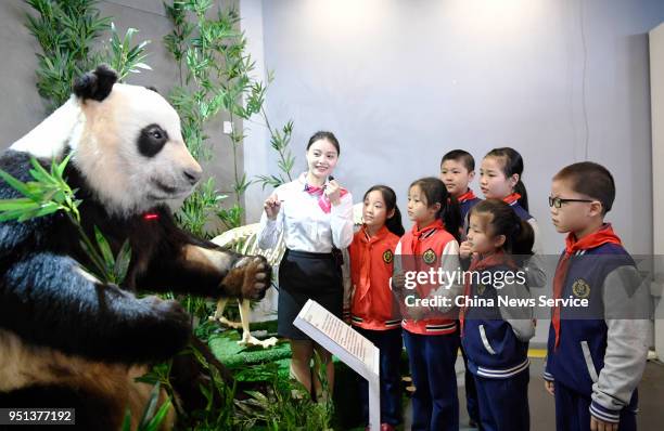 Children watch a plastinated giant panda specimen at the Mystery of Life Museum on April 25, 2018 in Chengdu, Sichuan Province of China. A giant...