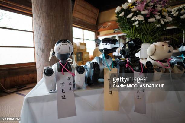 Sony's pet robot AIBOs are line up on an altar prior to hold the robots' funeral at the Kofukuji temple in Isumi, Chiba on April 26, 2018. - More...