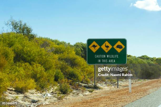 australian animal road sign, western australia - naomi rahim stock pictures, royalty-free photos & images