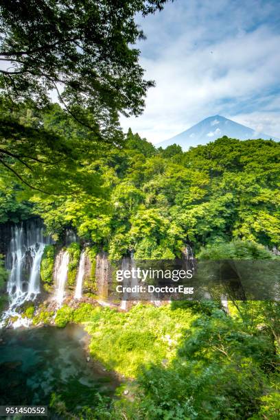 fuji mountain in green summer season at shiraito waterfall - pierre taki photos et images de collection