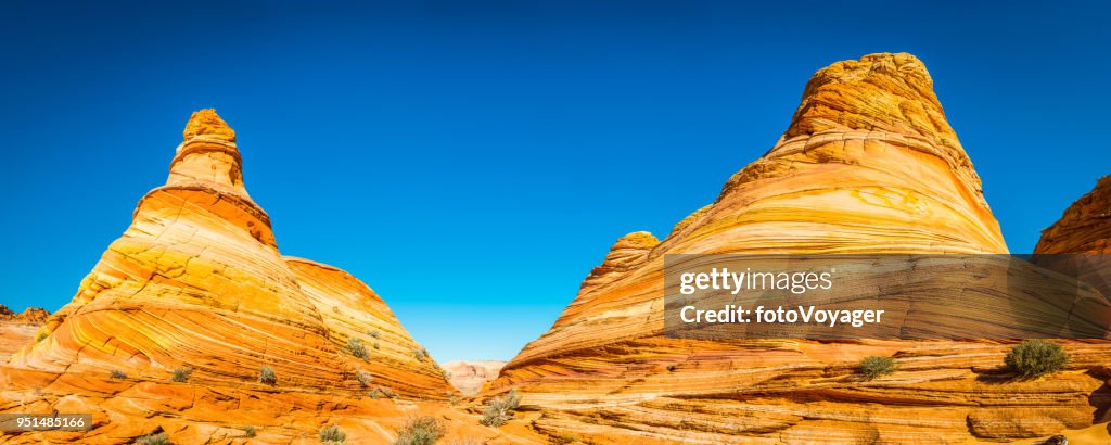 Swirling desert strata panorama The Wave Coyote Buttes Arizona Utah