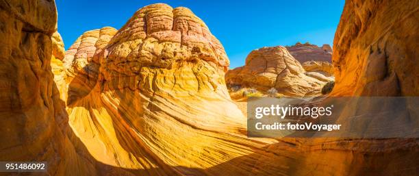 panorama degli strati del deserto dorato the wave coyote buttes arizona usa - paria canyon foto e immagini stock