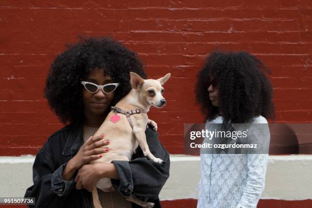 sorelle con il loro cane, new york - perfecto punk foto e immagini stock