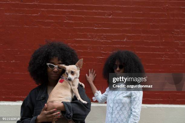 sorelle con il loro cane, new york - perfecto punk foto e immagini stock