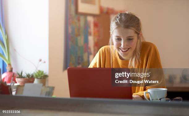 young woman using laptop at home. - studentenhuis stockfoto's en -beelden