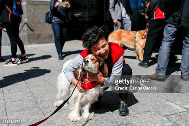 Woman hugs Dexter the cavalier king charles spaniel therapy dog from St. John's Ambulance. The dogs are at Mel Lastman square for those affected by...