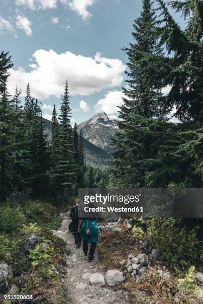 canada, british columbia, glacier national park, hikers on sir donald trail - glacier columbia photos et images de collection