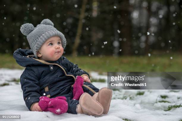 portrait of baby girl watching snowflakes for the first time - 初めての出来事 ストックフォトと画像