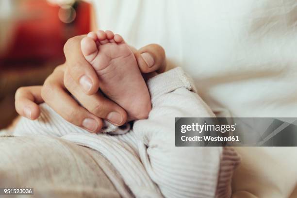 close-up of mother holding newborn baby’s foot - big foot stock pictures, royalty-free photos & images