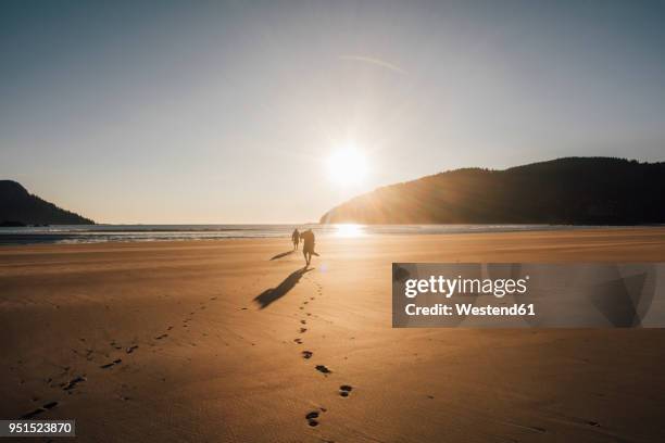 canada, british columbia, vancouver island, two men walking on beach at san josef bay at sunset - distant stock pictures, royalty-free photos & images