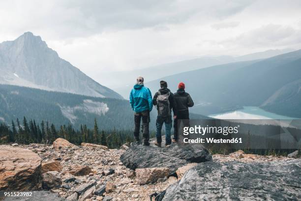 canada, british columbia, yoho national park, hikers at mount burgess looking at emerald lake - yoho national park bildbanksfoton och bilder