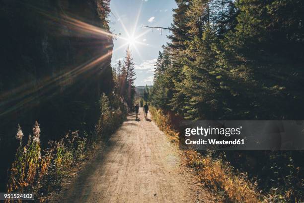 canada, british columbia, kelowna, myra canyon, hikers on kettle valley rail trail - kelowna stock pictures, royalty-free photos & images