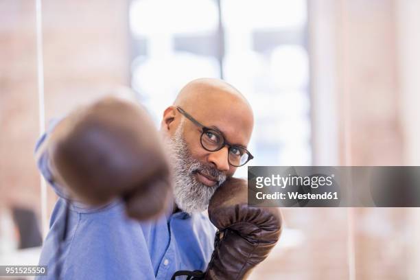 portrait of businessman with boxing gloves - eccentric hobby stock pictures, royalty-free photos & images