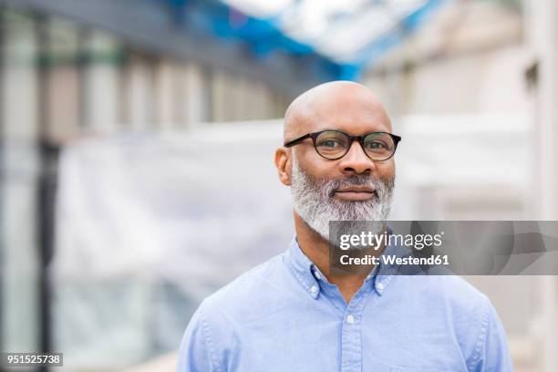 portrait of smiling businessman with beard wearing glasses - facing camera professional outdoor stock pictures, royalty-free photos & images