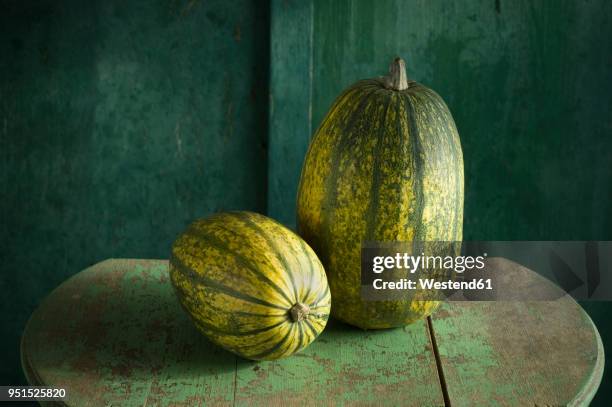 two green spaghetti squashes - spaghetti squash stock pictures, royalty-free photos & images