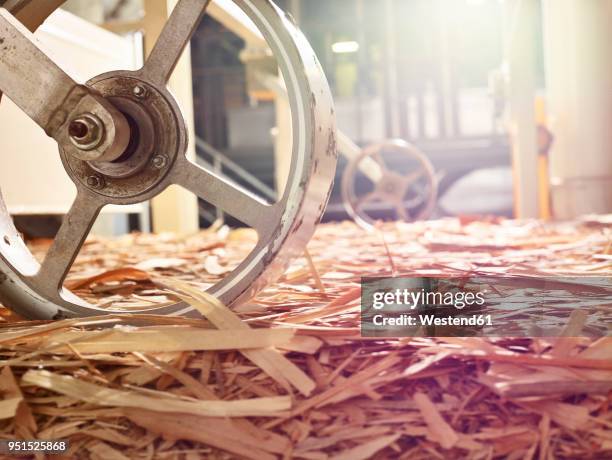 106 Wooden Splint Stock Photos, High-Res Pictures, and Images - Getty ...