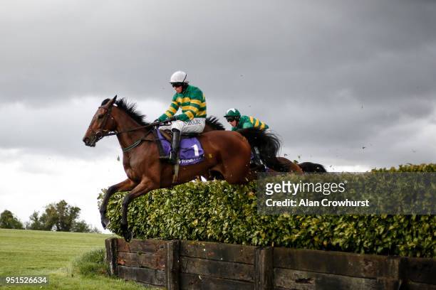 Donal Mclnerney riding Auvergnat clear a laurel hedge on their way to winning The Friends First Cross Country Steeplechaes for the La Touche Cup at...