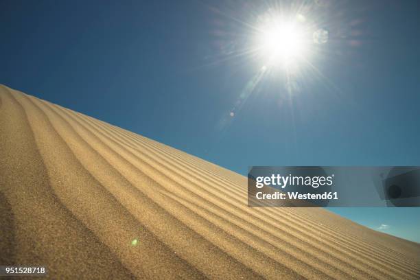 spain, canary islands, gran canaria, sand dune in maspalomas - midday stock pictures, royalty-free photos & images