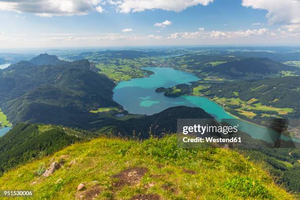 austria, salzkammergut, view fromhimmelspforte, mountain schafberg to lake mondsee - vocklabruck stock pictures, royalty-free photos & images