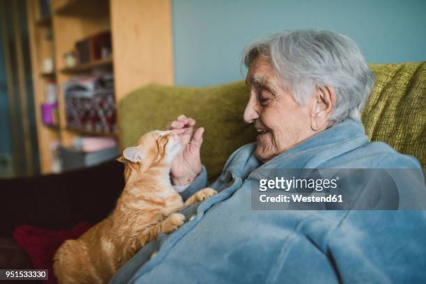 happy senior woman with tabby cat on the couch - old woman cat stock-fotos und bilder