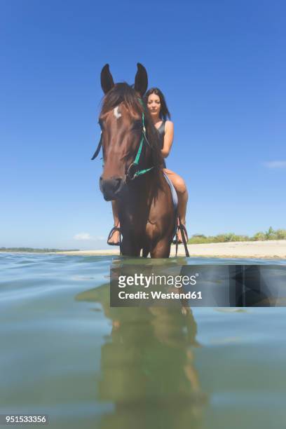 indonesia, bali, woman sitting on horse, in water - bali horse stockfoto's en -beelden