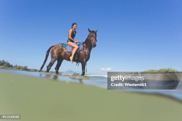 indonesia, bali, woman sitting on horse - bali horse fotografías e imágenes de stock