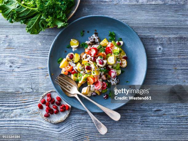 beluga potato salad with kale, cherry tomato, lentil, onion spring, salad dressing, fork and spoon, cranberries - salatdressing stock-fotos und bilder