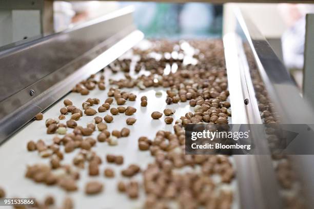 Peanuts move along a conveyor belt at the Beer Nuts Inc. Production facility in Bloomington, Illinois, U.S., on Wednesday, April 25, 2018. U.S. March...