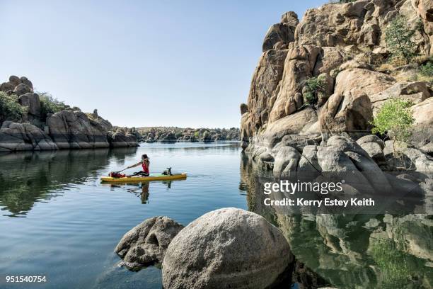 woman sitting on paddle board on lake with puppy, arizona, usa - kerry estey keith stock pictures, royalty-free photos & images