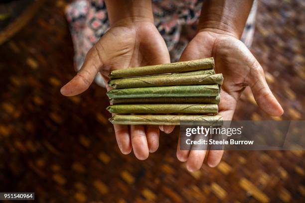 hands of woman holding pile of cheroot cigars, shan state, myanmar - cheroot foto e immagini stock