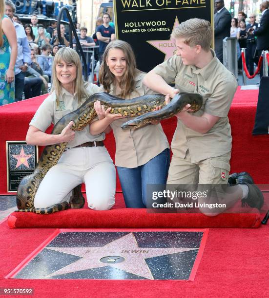 Conservationists/TV personalities Terri Irwin, Bindi Irwin and Robert Irwin attend Steve Irwin being honored posthumously with a Star on the...