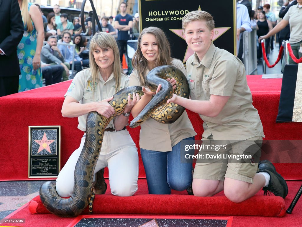 Steve Irwin Honored Posthumously With Star On The Hollywood Walk Of Fame