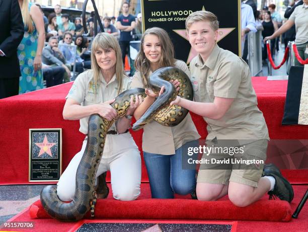 Conservationists/TV personalities Terri Irwin, Bindi Irwin and Robert Irwin attend Steve Irwin being honored posthumously with a Star on the...