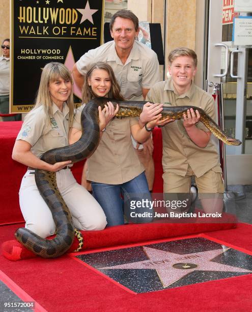 Terri Irwin, Bindi Irwin, Wess Mannion and Robert Irwin attend a ceremony honoring Steve Irwin with star on The Hollywood Walk of Fame on April 26,...